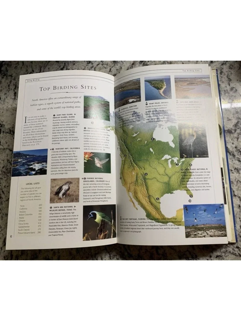 Birding Nature Company Guide Hardcover Illustrated Forshaw Howell Lindsey 1999